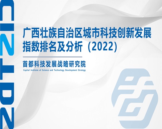 日草逼网站【成果发布】广西壮族自治区城市科技创新发展指数排名及分析（2022）